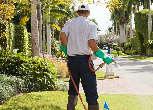 About New Laguna NM Pest Control